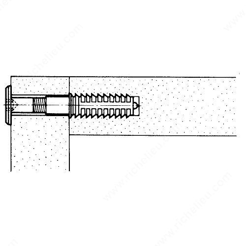Assembly Bolt and Insert Nut