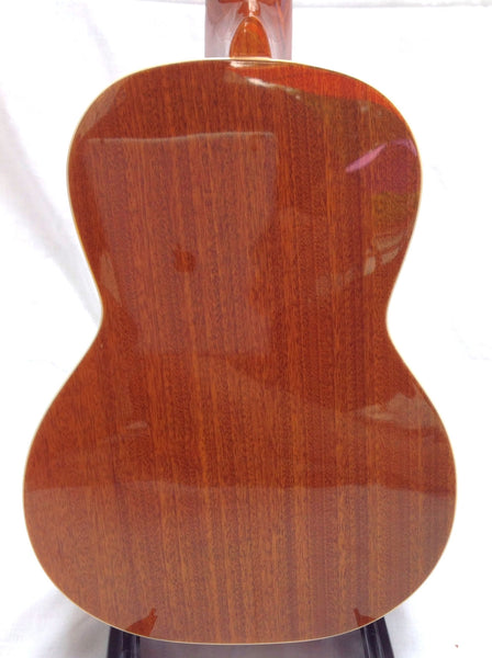 Classic Spruce Top Tenor