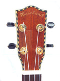 Classic Spruce Top Tenor