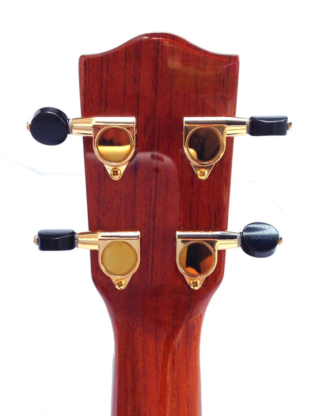 Classic Spruce Top Tenor