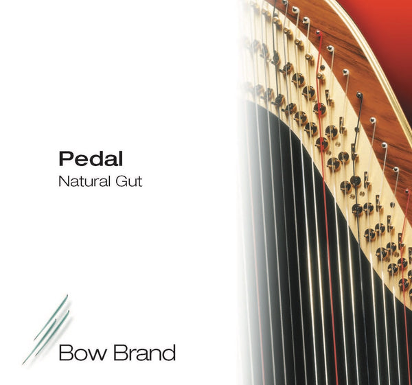 Bow Brand Pedal Gut Strings