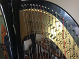 Salvi Pedal Harp - Gently Used