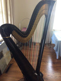 Salvi Pedal Harp - Gently Used