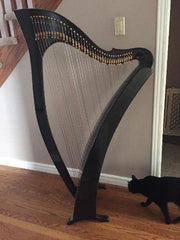 Heartland Harps - Carbon Fiber Harp