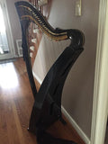 Heartland Harps - Carbon Fiber Harp
