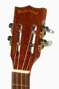 Classic Mahogany Tenor Cut-away with Slotted Headstock