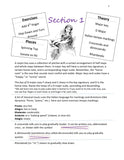 Happy Harps Level 2 - Digital Download