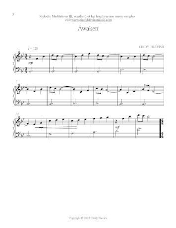 Melodic Meditations Vol. 3 - Digital Download