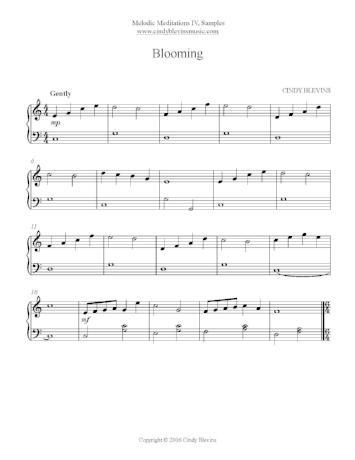 Melodic Meditations Vol. 4 - Digital Download