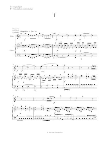Concerto for Flute & Harp KV299 - Digital Download