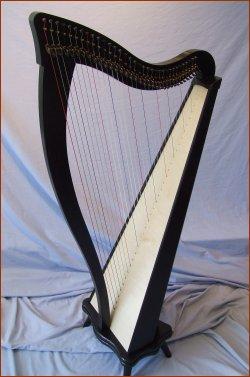 Dusty Strings Ravenna 34
