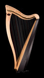 Dusty Strings Ravenna 34