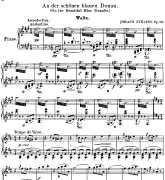 Strauss: On the Beautiful Blue Danbue, Op.314