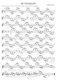 Beginner's Harp Book: Book 1 -Bargain Basement Beauty!