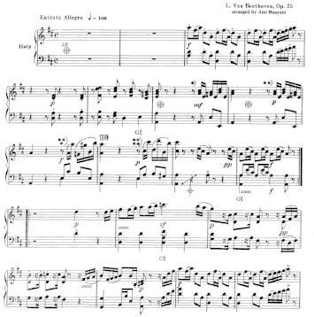 Serenade op. 25 (flute, viola and harp)