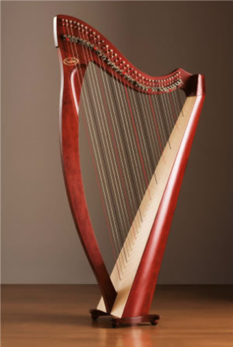Salvi aida harp 34 strings deals